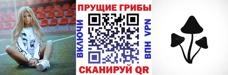 мега ссылка  купить наркоту  Демидов  Галлюциногенные грибы Psilocybine cubensis 